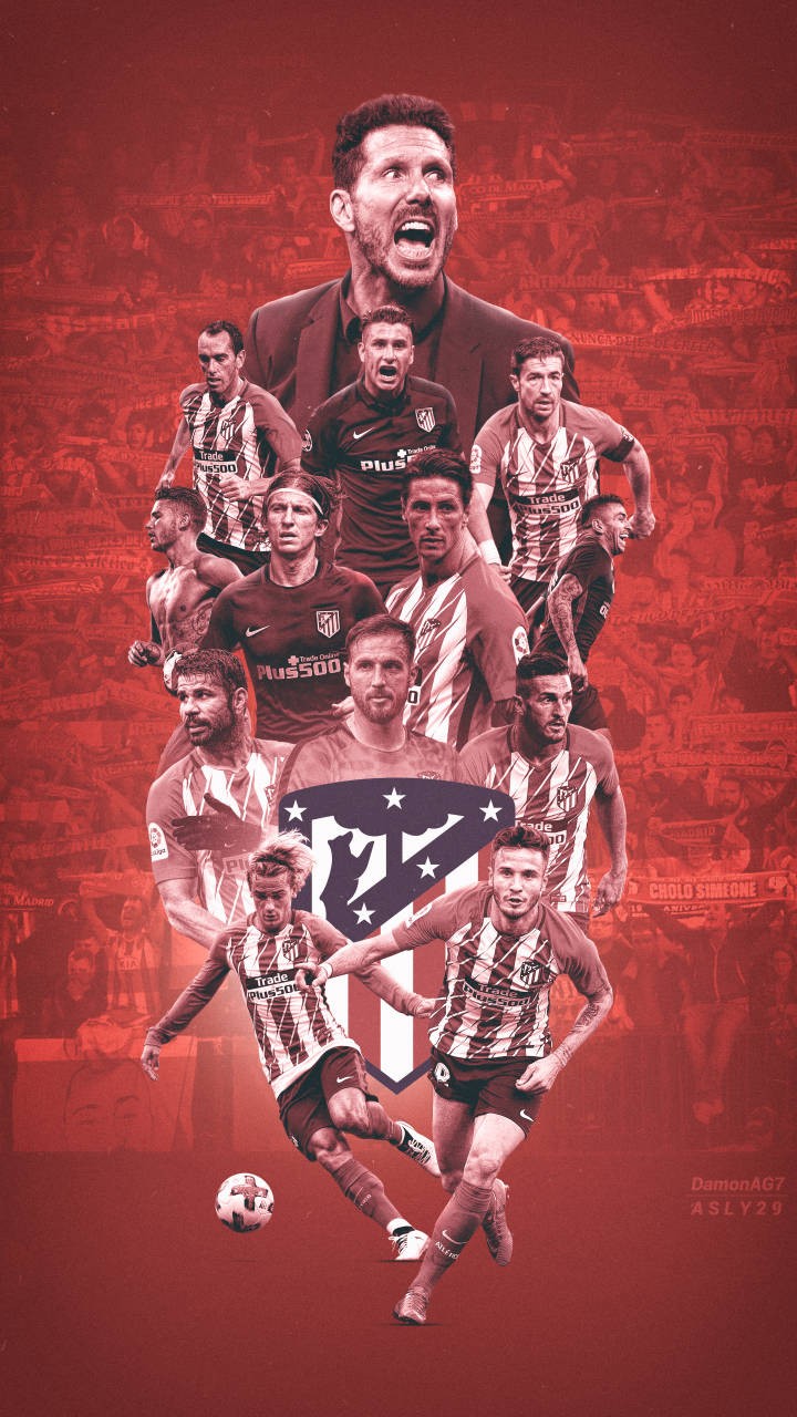 麦卡利斯特二哥：我们个子不高也不快，但总有办法取得成功（麦卡利斯特二哥：身高和速度都不占优，但我们总能找到胜利之道）